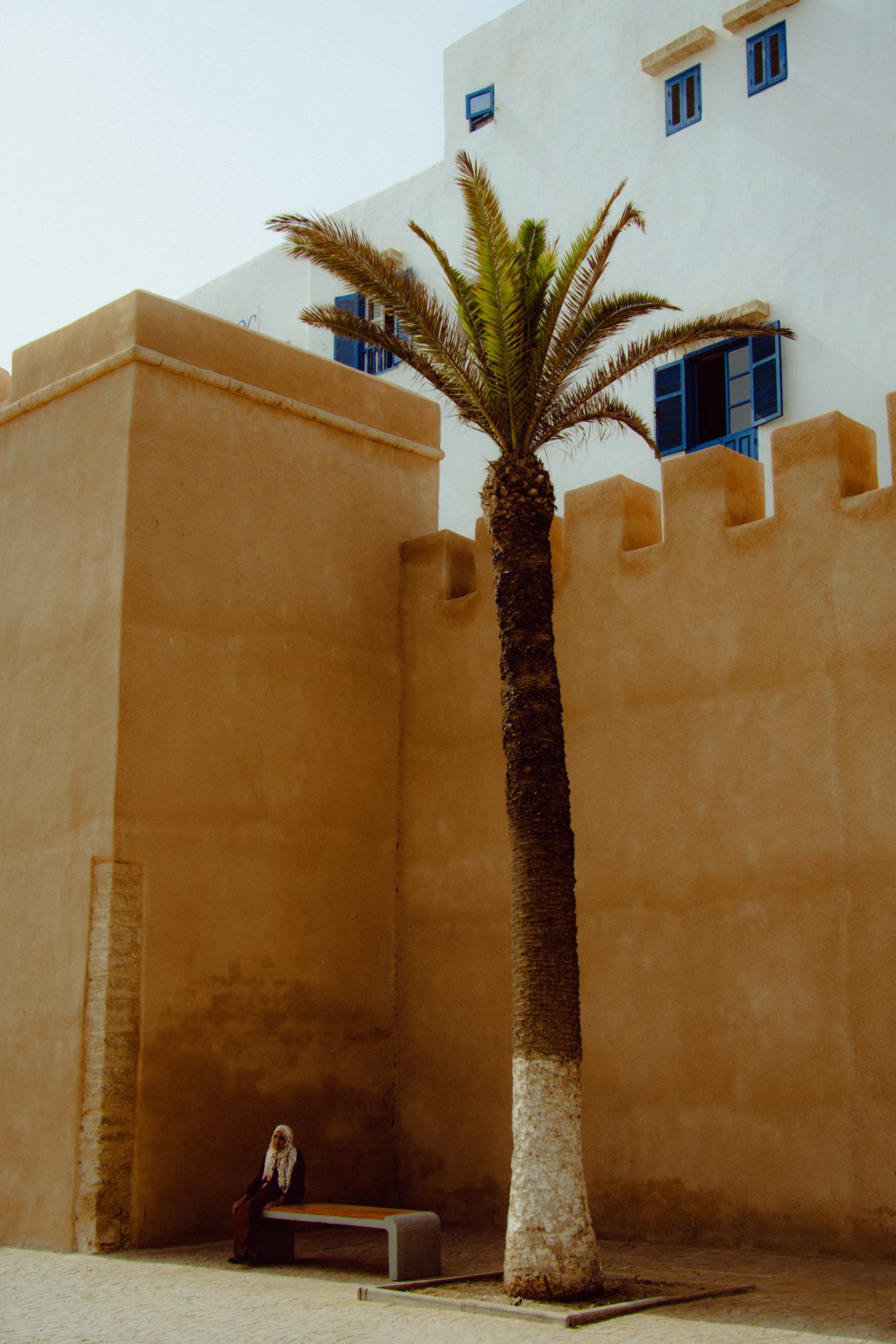 Une femme voilée est assise sur un banc. Elle semble fatiguée. À coté, un palmier gigantesque.