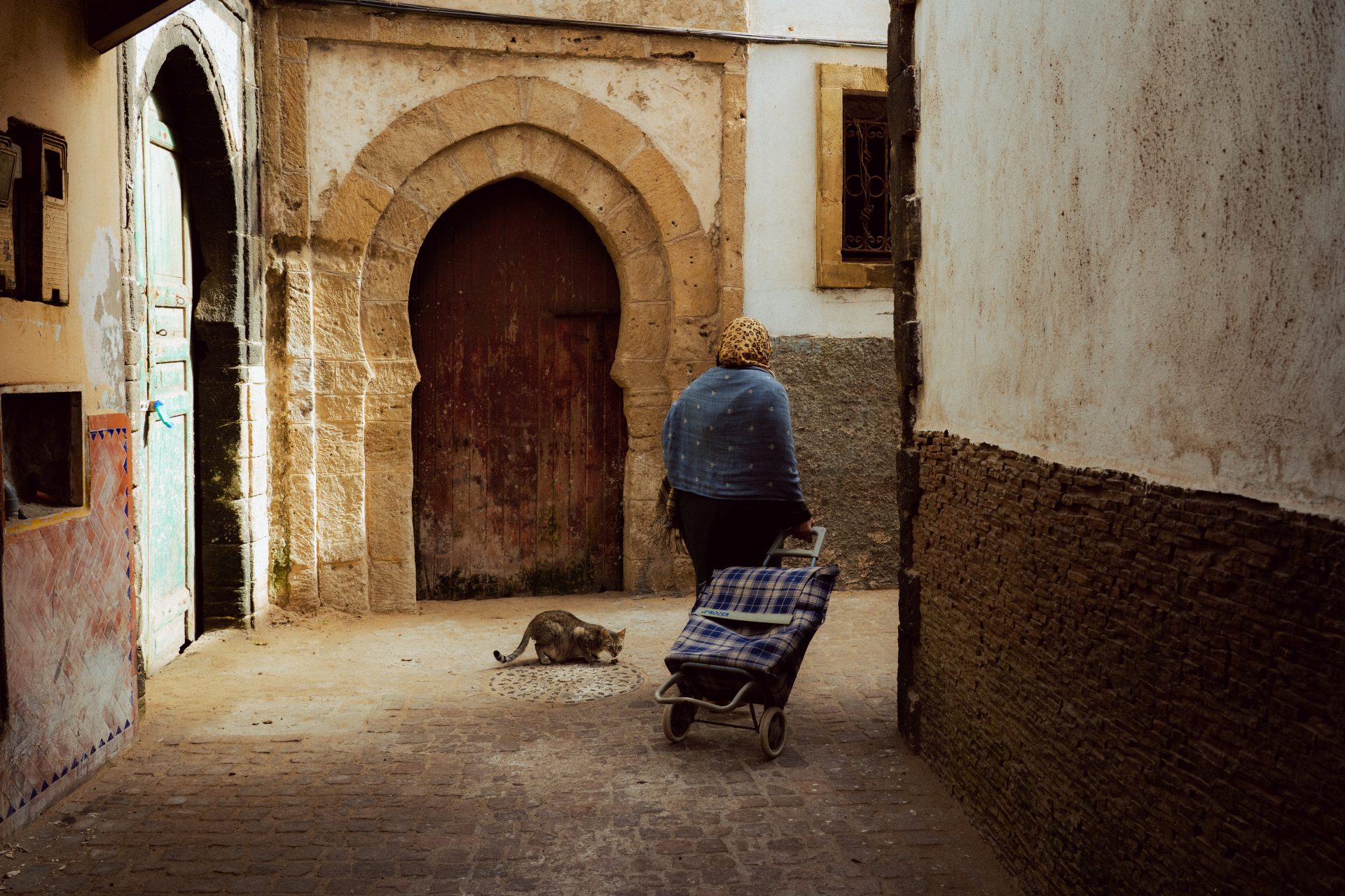 Une femme et son caddie se déplace dans une ruelle d'Essaouira tandis qu'un chat me lance un regard en mangeant son poisson.