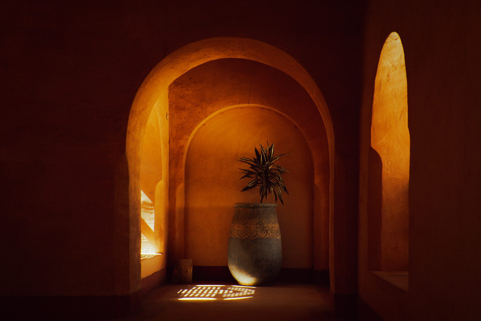 Un petit arbre dans son pot dans une médina