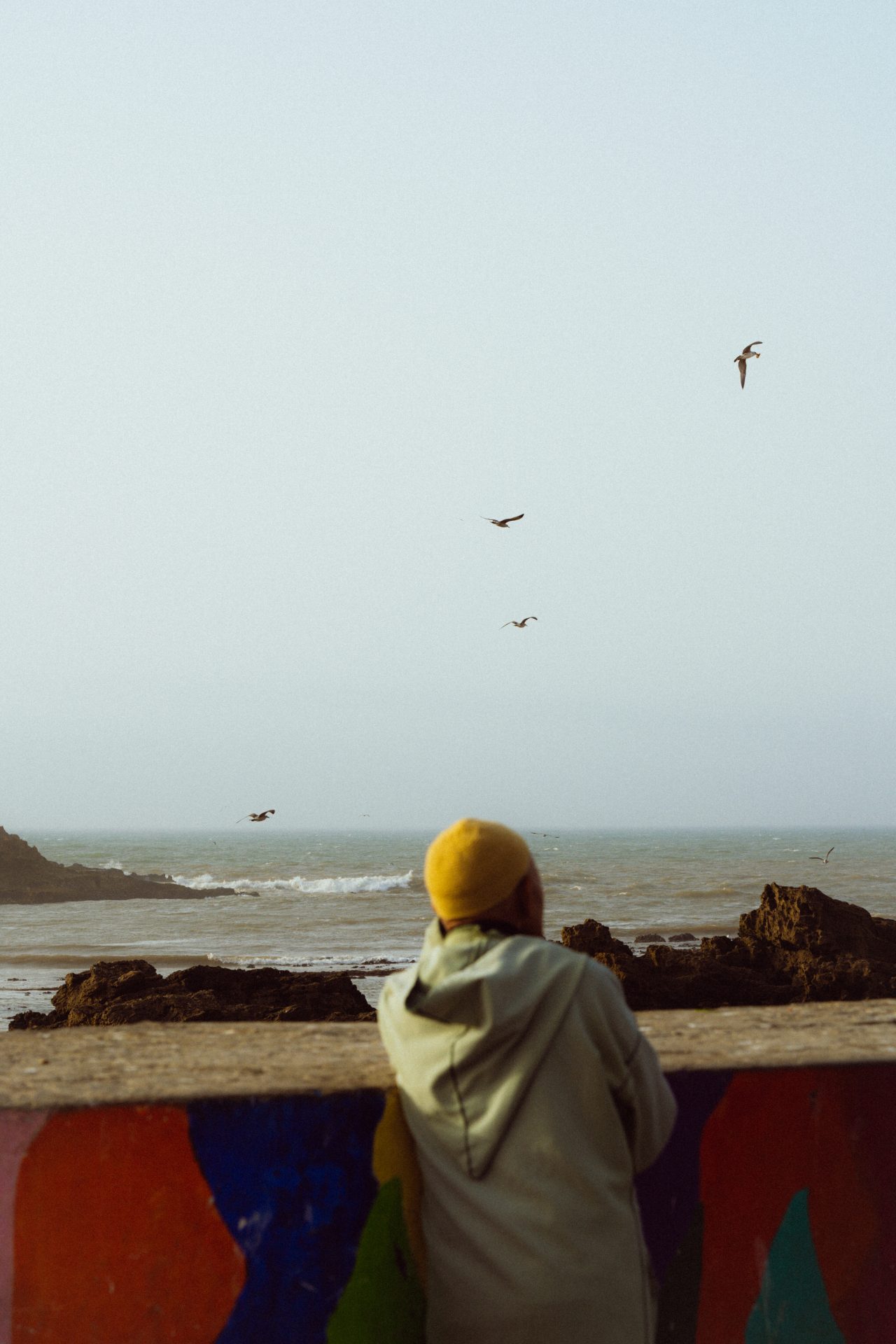 Un homme est accoudé sur un muré d'Essaouira. Il observe des mouettes voler lors du coucher de soleil.