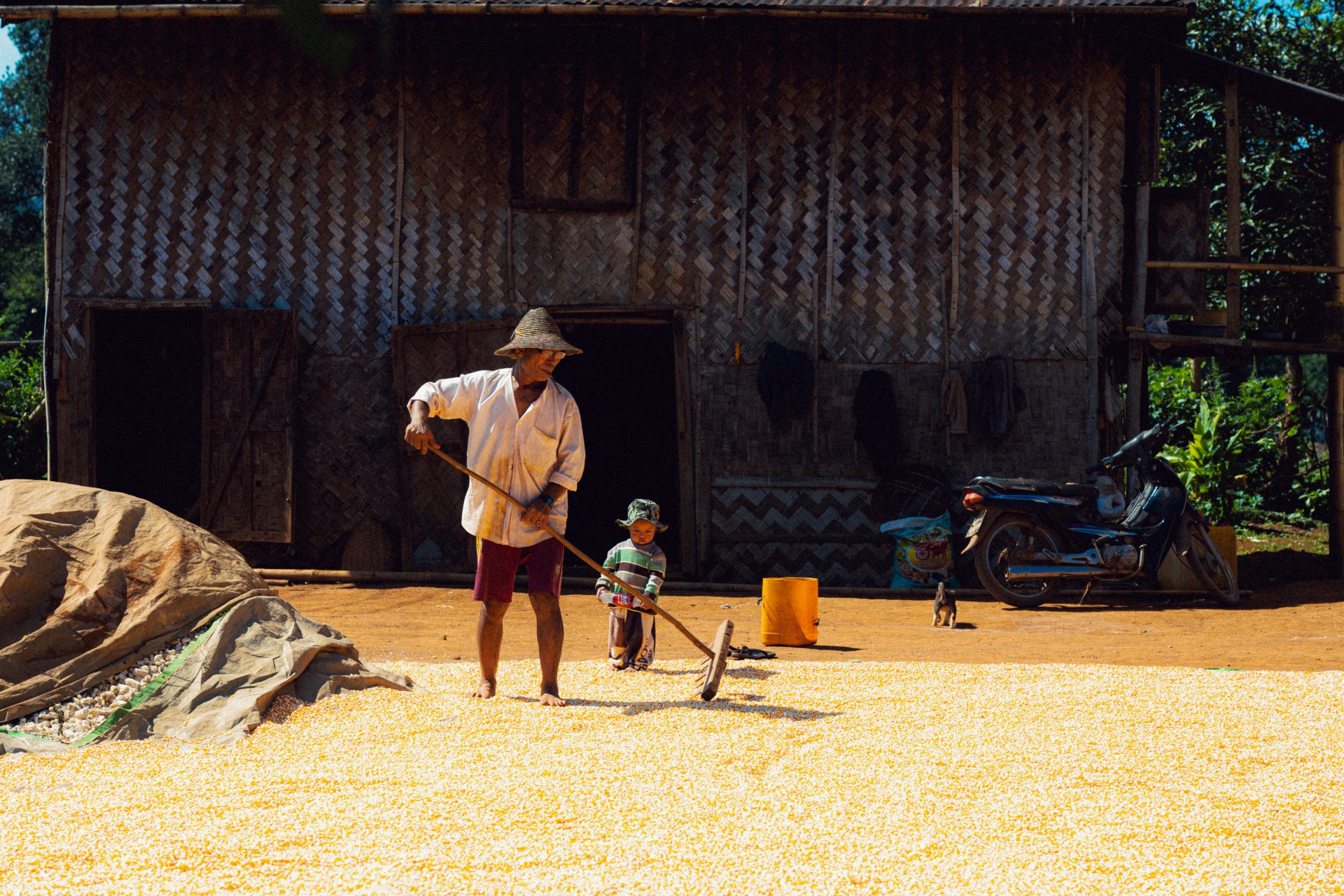 L’apprentissage v2