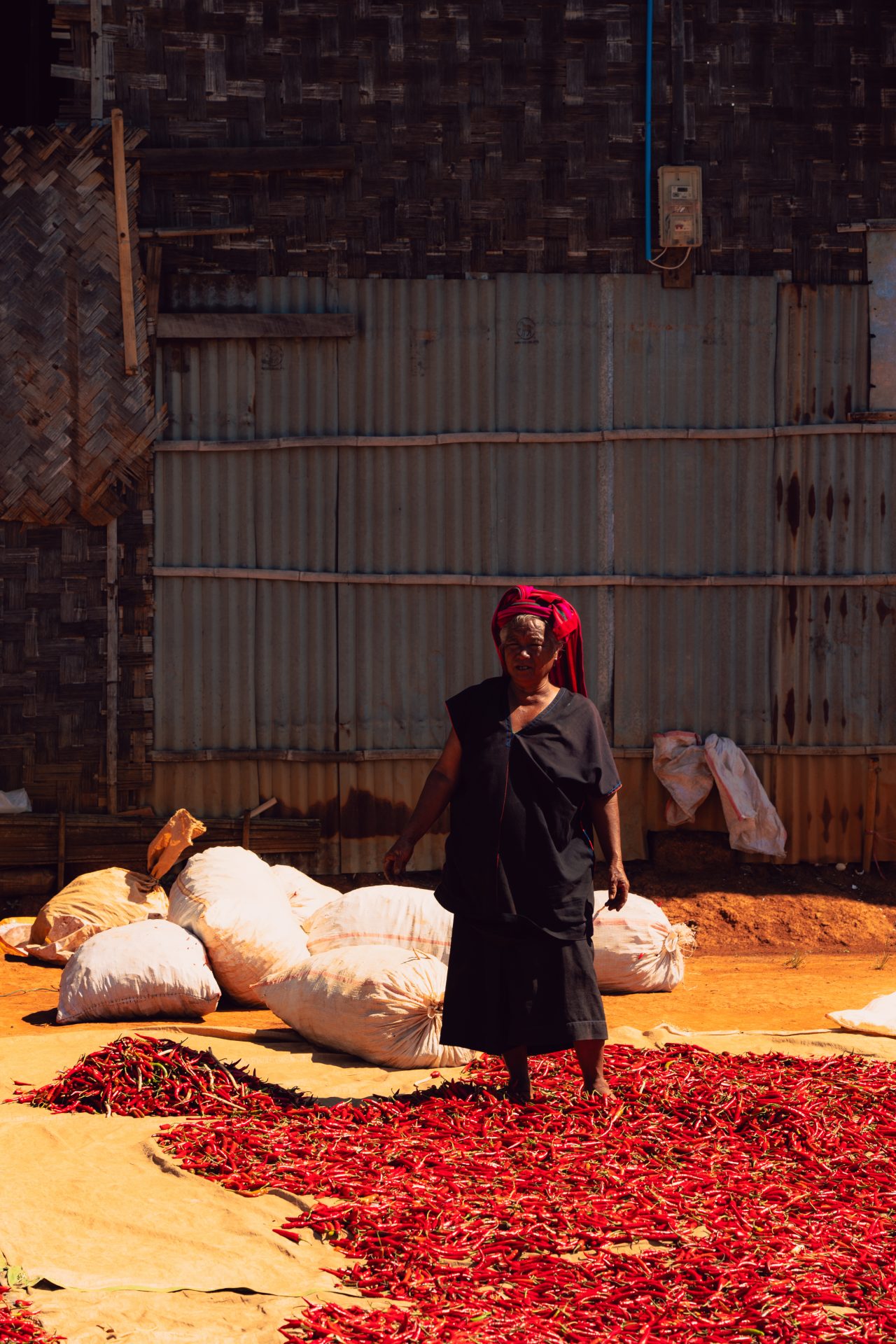 Les pieds dans le piment V3